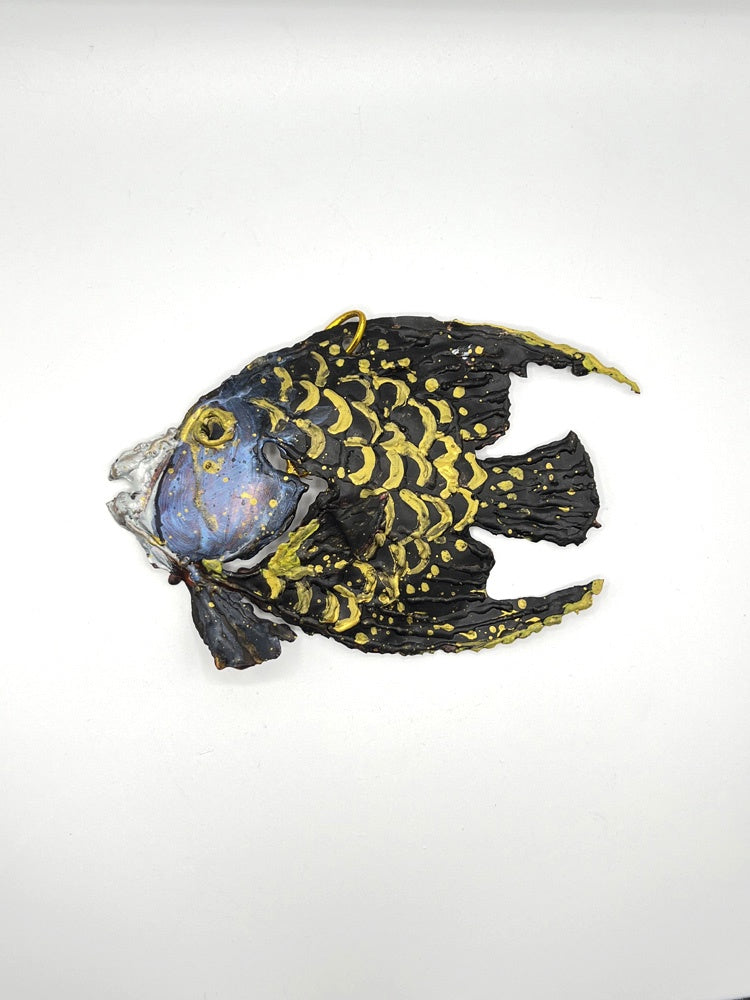 French Angelfish – Fish Face