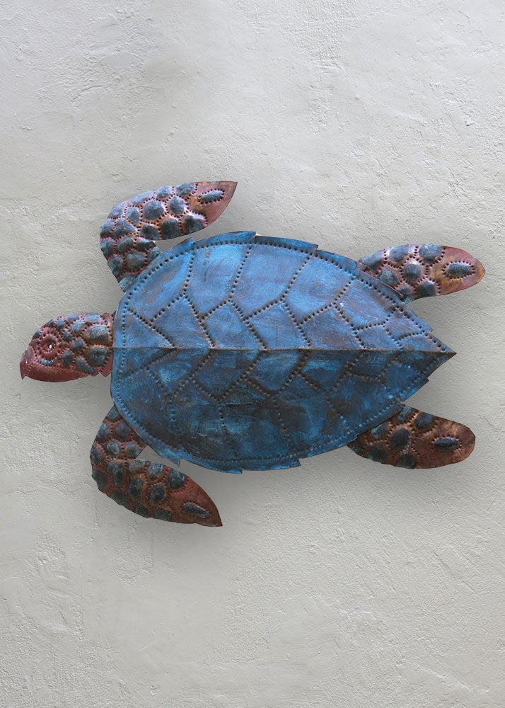 Aragorn Small Turtle